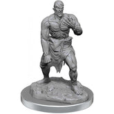 Golem di Carne - 2 Miniature D&D Nolzur's Marvelous W17